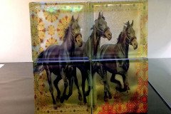 Limage-Glass-21