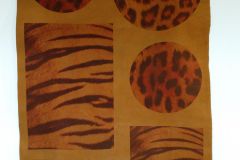 IMG_20180213_185912